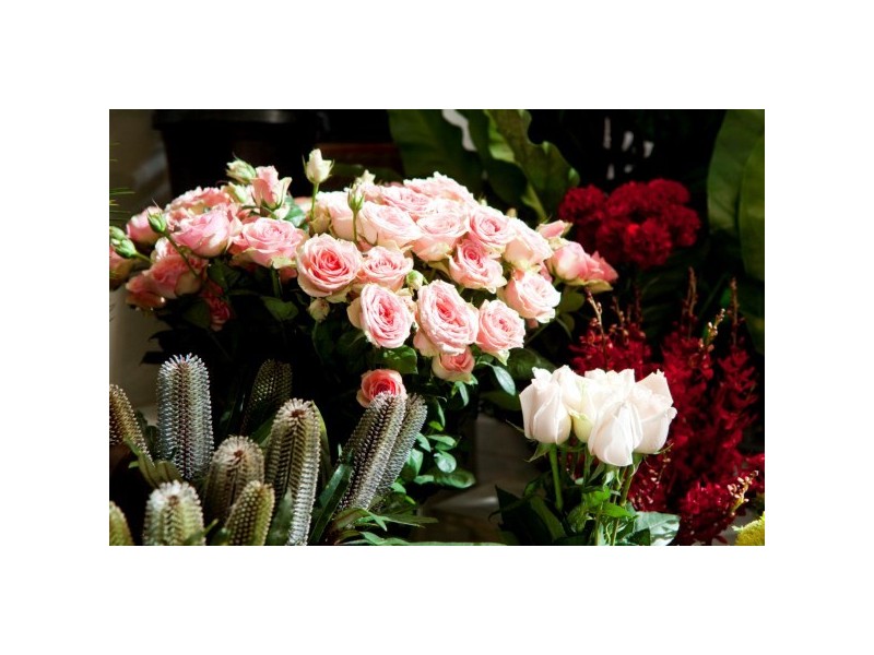 77-79 Bay Street, Glebe NSW 2037