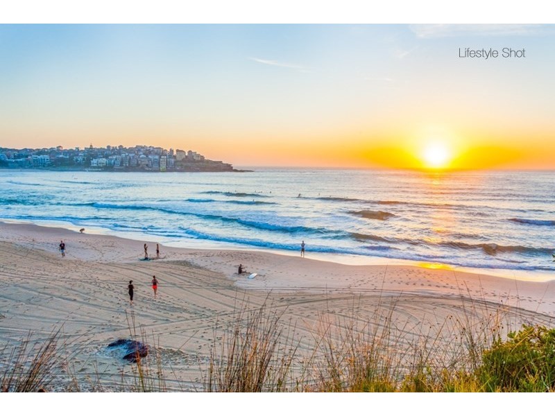 7 Banksia Road, Bellevue Hill NSW 2023