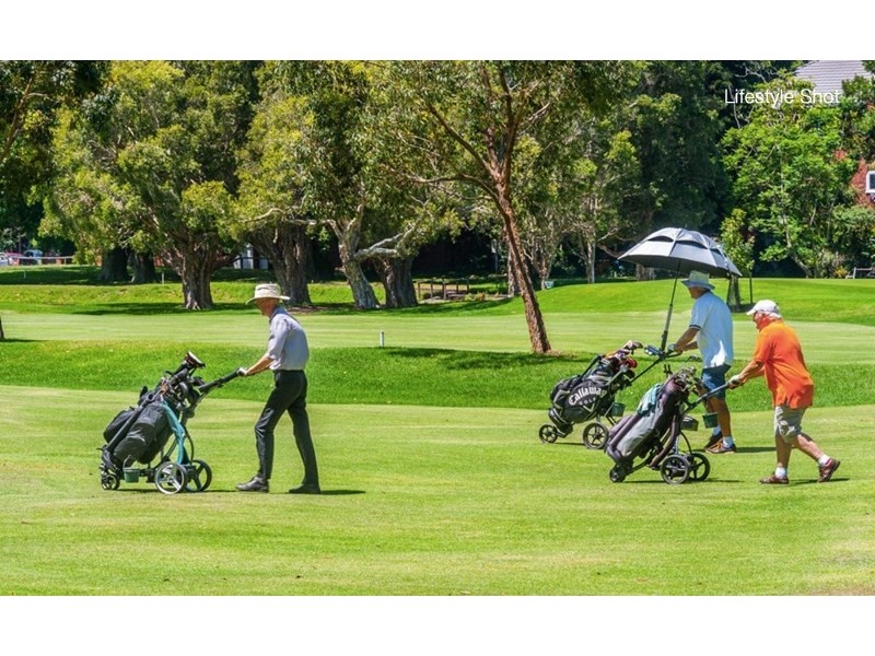 7 Banksia Road, Bellevue Hill NSW 2023