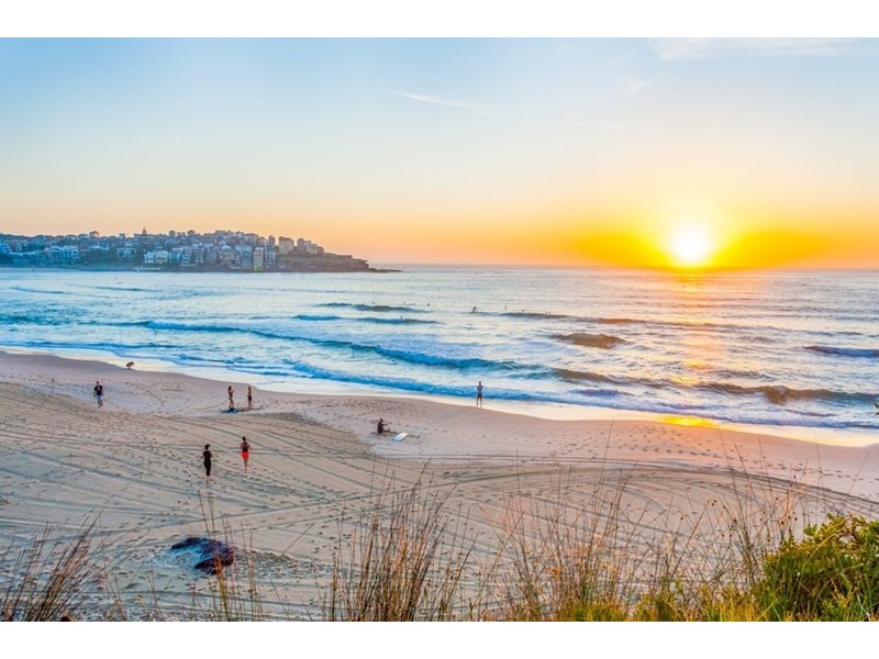 7 Banksia Road, Bellevue Hill NSW 2023