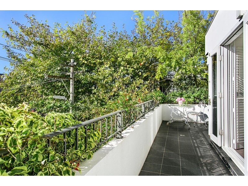 17 Elfred Street, Paddington NSW 2021