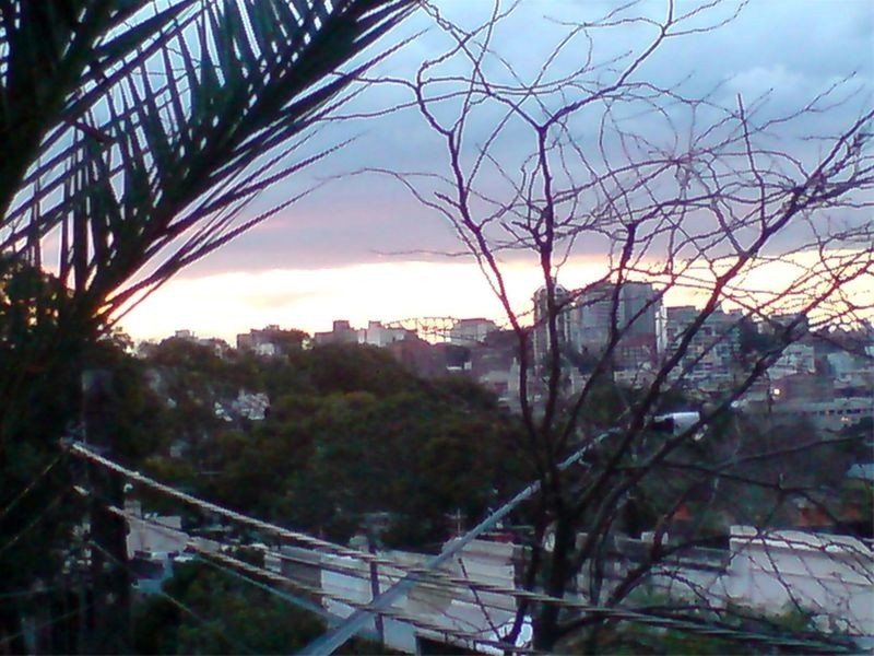 63 Hargrave Street, Paddington NSW 2021