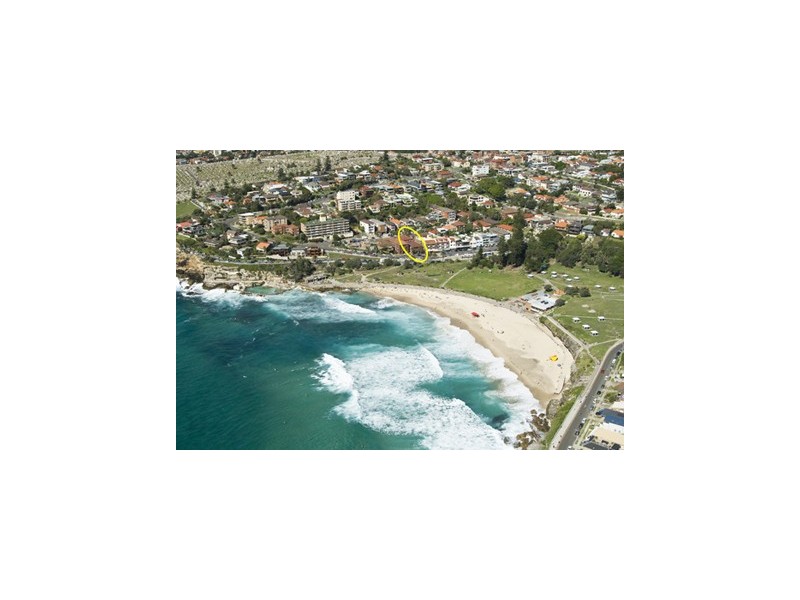 493 Bronte Road, Bronte NSW 2024