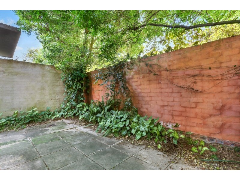 52 Caledonia Street, Paddington NSW 2021