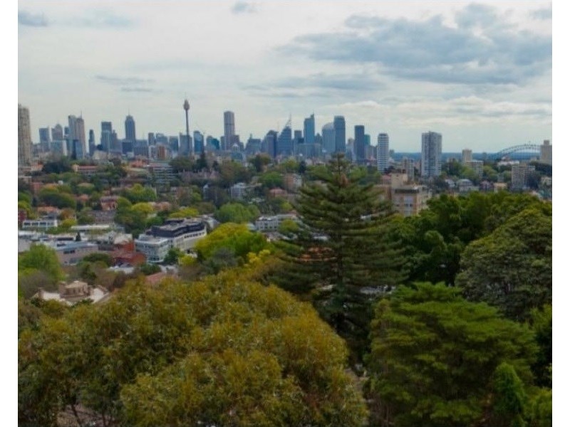 24 Bulkara Road, Bellevue Hill NSW 2023