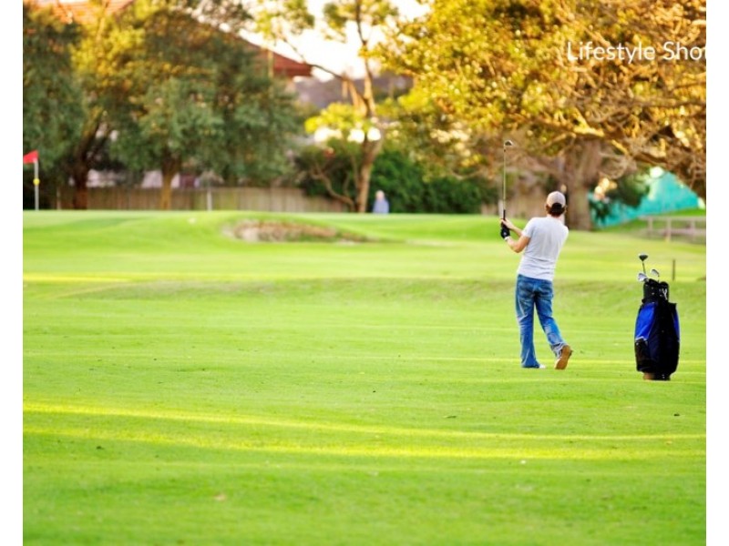 24 Bulkara Road, Bellevue Hill NSW 2023