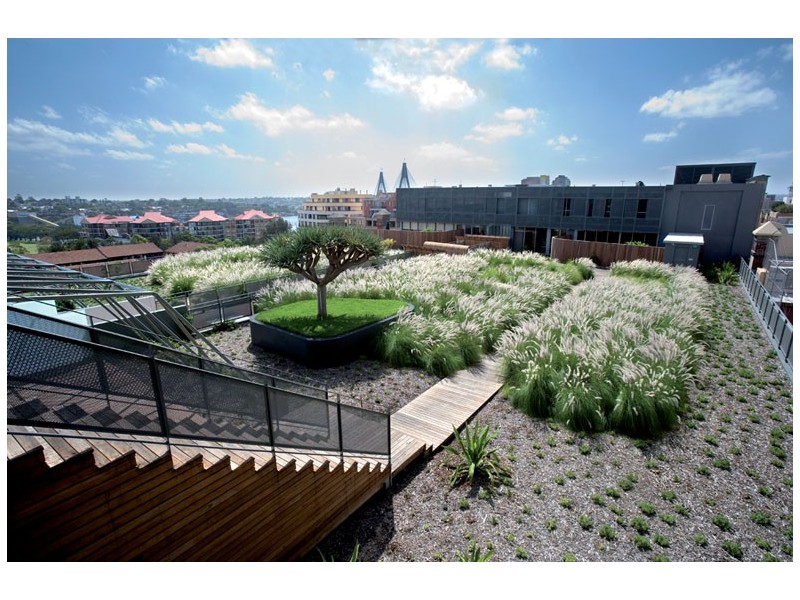 8/380 Harris Street, Pyrmont NSW 2009