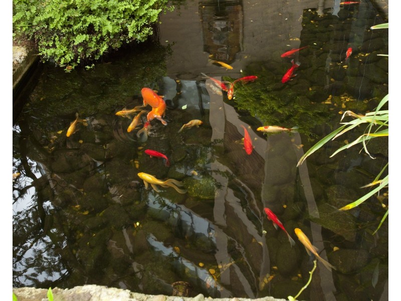 1A/21 Thornton Street, Darling Point NSW 2027