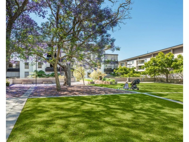 2402/4 Sterling Circuit, Camperdown NSW 2050