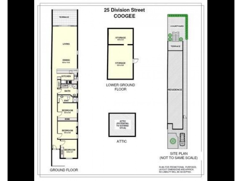 25 Division Street, Coogee NSW 2034 Floorplan