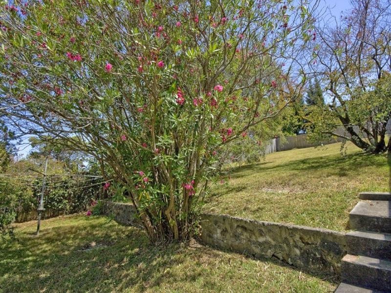 31 Warren Road, Bellevue Hill NSW 2023