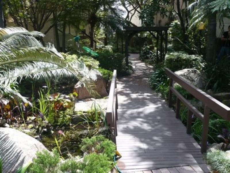 802/170 Ocean Street, Edgecliff NSW 2027