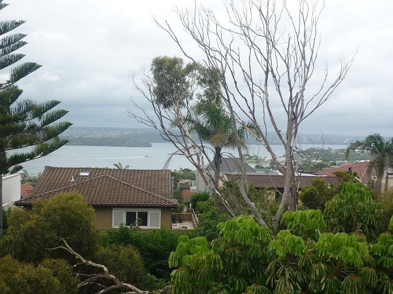 88 New South Head Road, Vaucluse NSW 2030