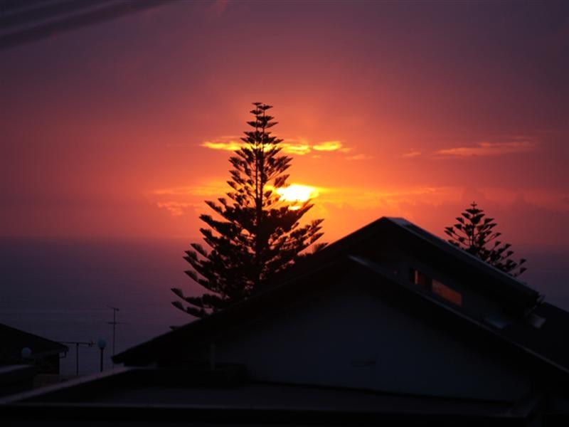 19 Wilfield Avenue, Vaucluse NSW 2030