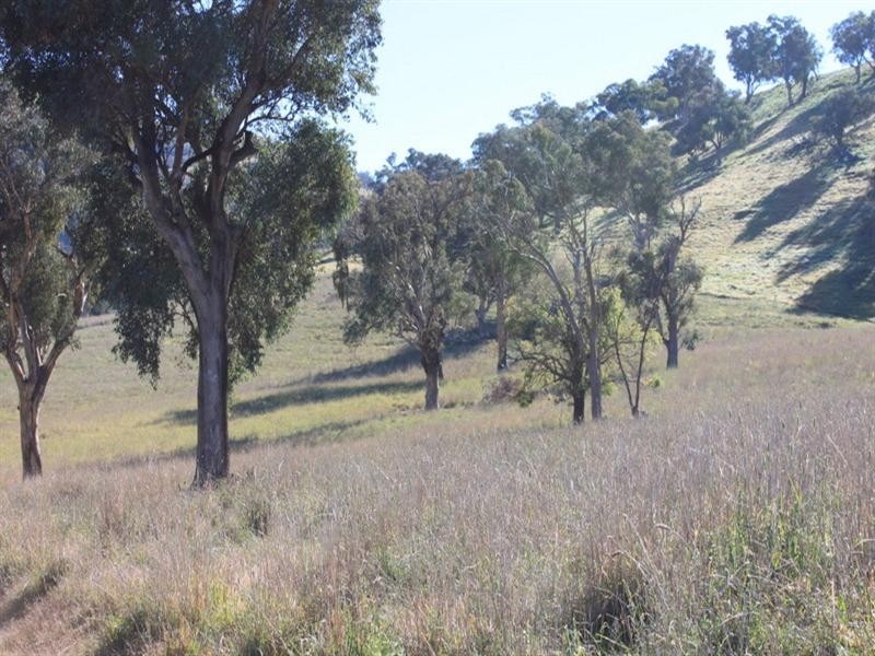 1 Murrumbank, Bookham NSW 2582