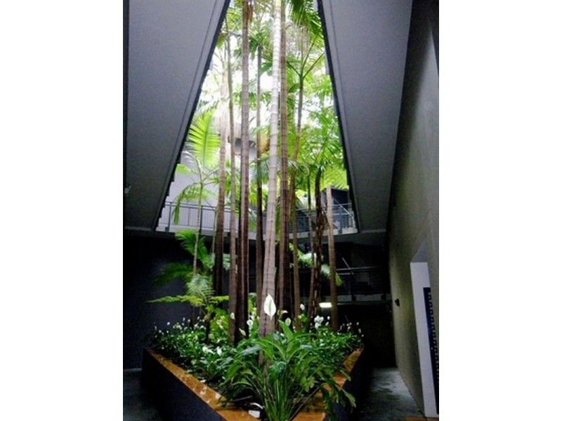 22/84 McLachlan Avenue, Rushcutters Bay NSW 2011
