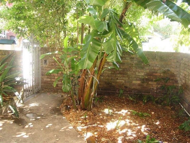 175 Old South Head Road, Bondi NSW 2026