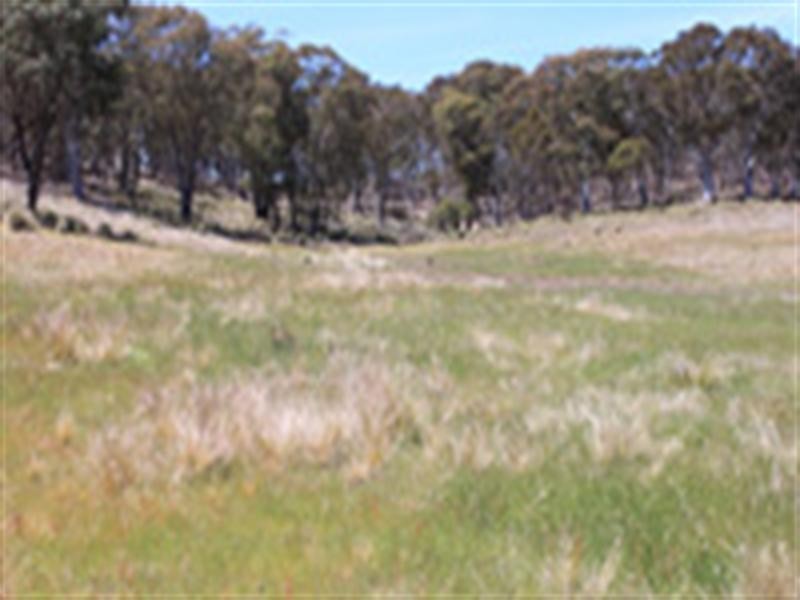 ‘Corregans’ Corregans Road, Murrumbateman NSW 2582