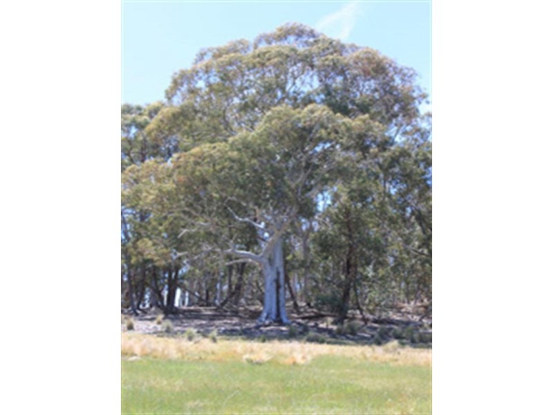 ‘Corregans’ Corregans Road, Murrumbateman NSW 2582