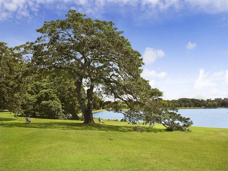 18 Govett Street, Randwick NSW 2031