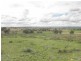 Lot 21 Tarwong Lane, Geurie, Dubbo NSW 2830