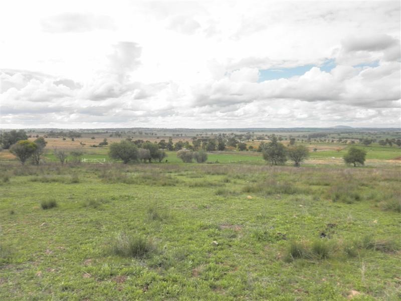 Lot 21 Tarwong Lane, Geurie, Dubbo NSW 2830