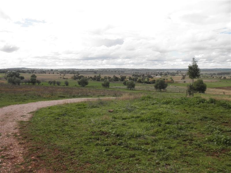 Lot 21 Tarwong Lane, Geurie, Dubbo NSW 2830
