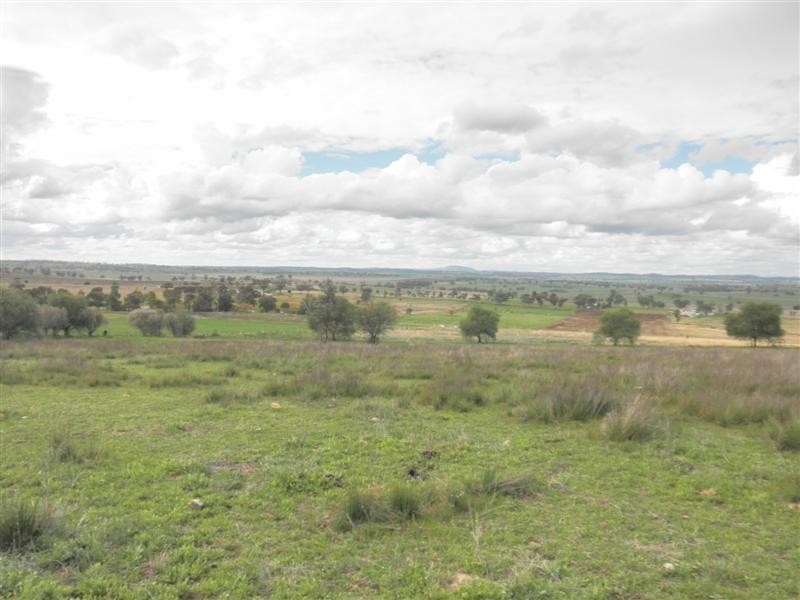 Lot 21 Tarwong Lane, Geurie, Dubbo NSW 2830