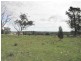 Lot 20 Whiteleys Lane, Geurie, Dubbo NSW 2830