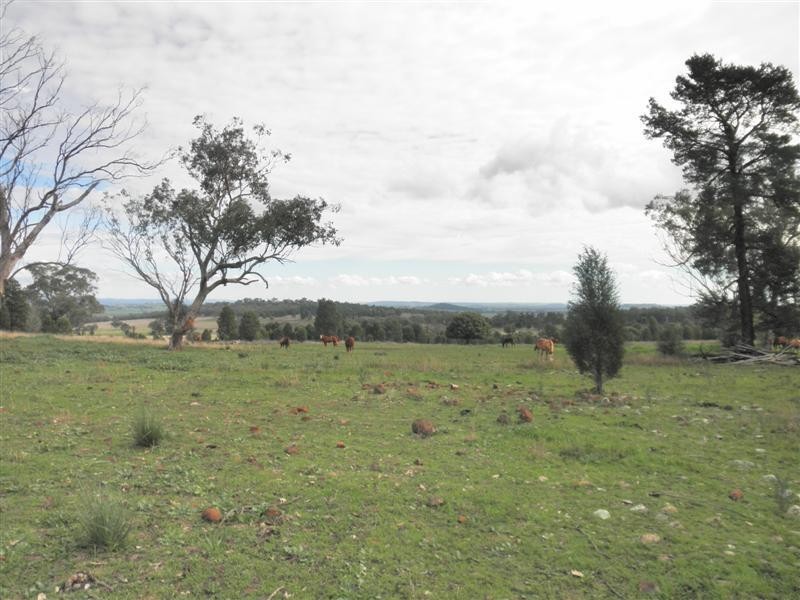 Lot 20 Whiteleys Lane, Geurie, Dubbo NSW 2830
