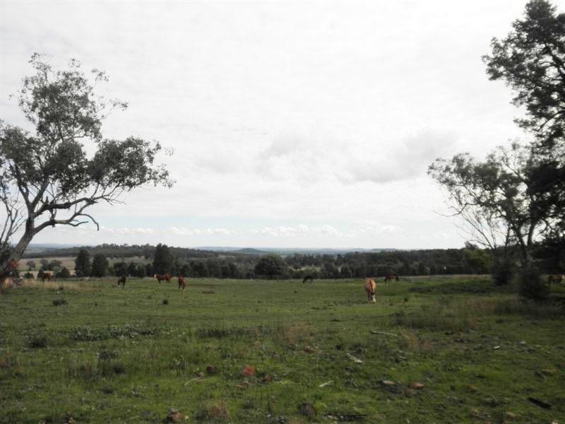Lot 20 Whiteleys Lane, Geurie, Dubbo NSW 2830