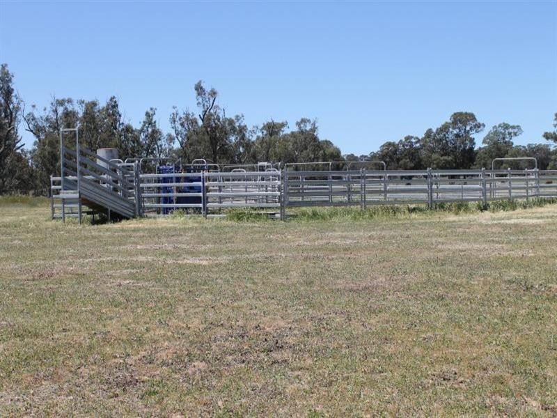 239R Obley Road, Dubbo NSW 2830