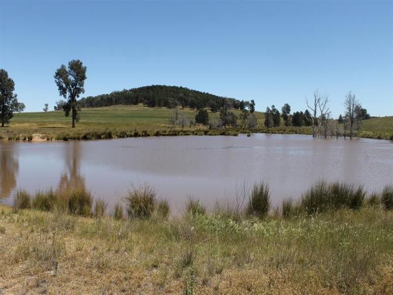 239R Obley Road, Dubbo NSW 2830