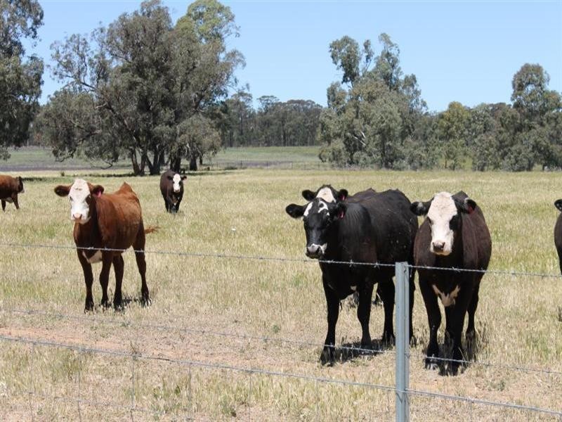 239R Obley Road, Dubbo NSW 2830