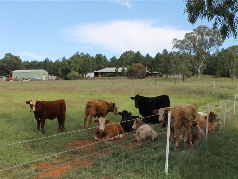 17R Jaymark Road, Dubbo NSW 2830