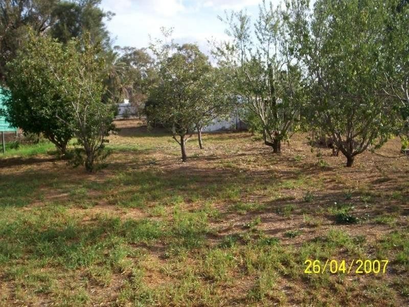 77-79 Wellington Street, Geurie NSW 2831