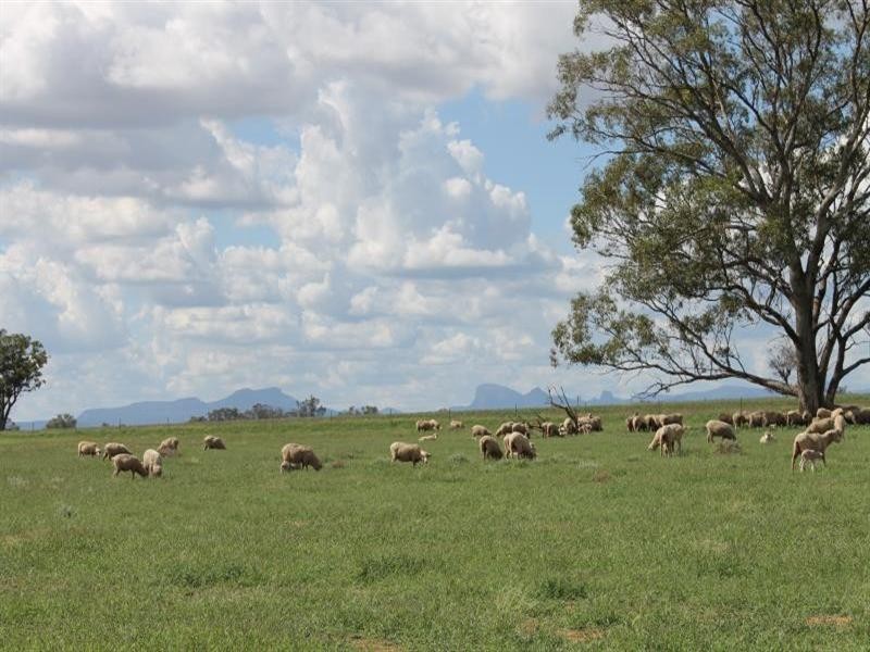 “Havilah” Hillside Road, Curban NSW 2827