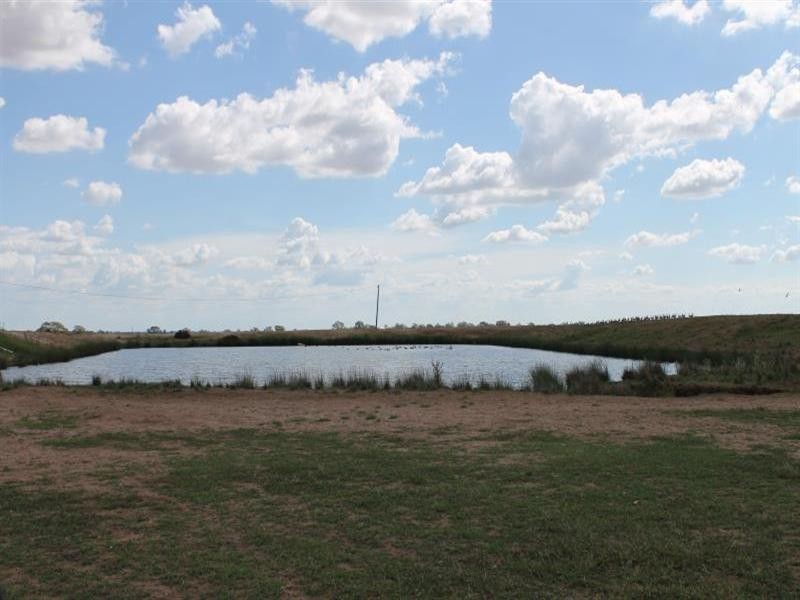 “Havilah” Hillside Road, Curban NSW 2827