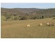 1410 Loombah Road, Bournewood NSW 2868