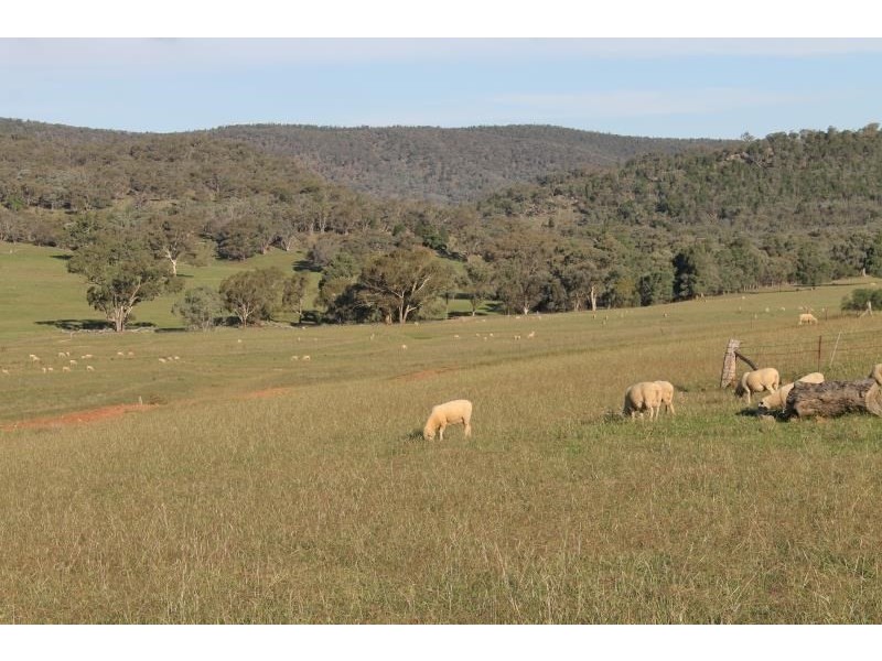 1410 Loombah Road, Bournewood NSW 2868