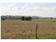 1410 Loombah Road, Bournewood NSW 2868