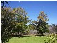 59L North Minore Road, Dubbo NSW 2830
