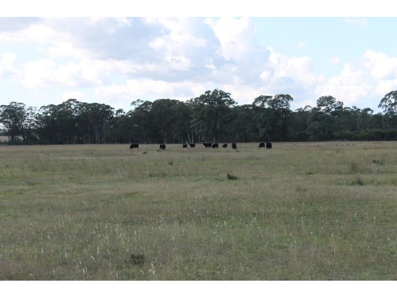 150R Mogriguy Forest Road, Dubbo NSW 2830