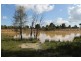 150R Mogriguy Forest Road, Dubbo NSW 2830