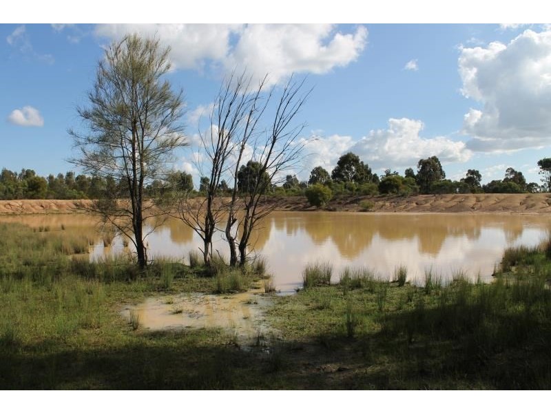 150R Mogriguy Forest Road, Dubbo NSW 2830