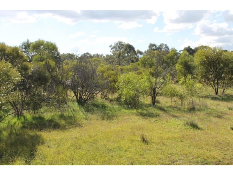 150R Mogriguy Forest Road, Dubbo NSW 2830
