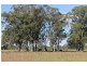 150R Mogriguy Forest Road, Dubbo NSW 2830