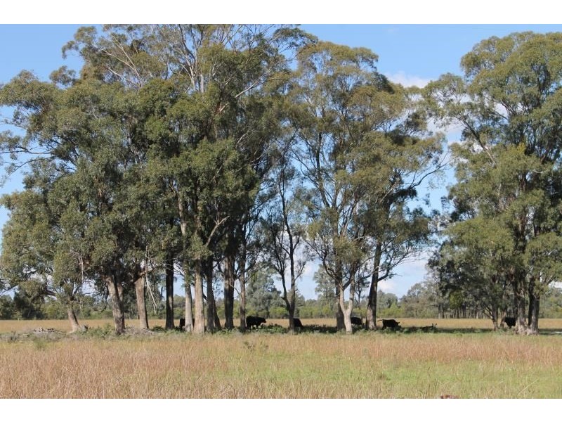 150R Mogriguy Forest Road, Dubbo NSW 2830