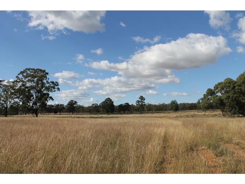 Springfield Melrose Road, Albert NSW 2873