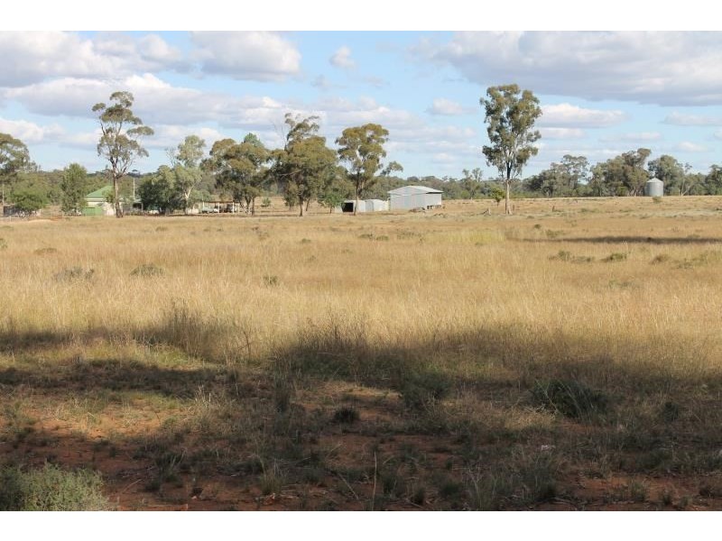 Springfield Melrose Road, Albert NSW 2873